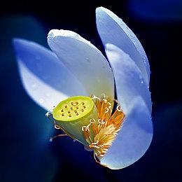 《自杀小队：战胜正义联盟》发行后更新内容介绍